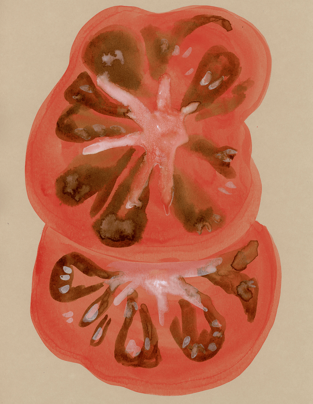tomatoes 1